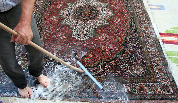 Professional rug cleaning service